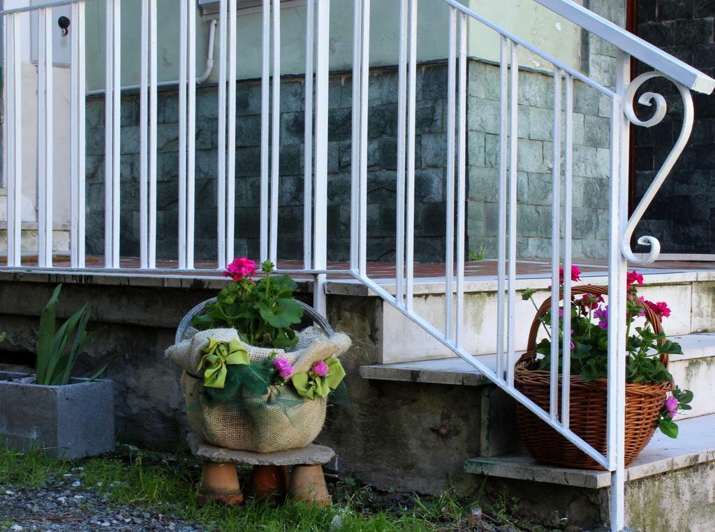 La Mia Casa Di Campagna * Rovieto
