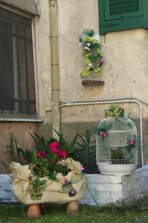 La Mia Casa Di Campagna Guest house Rovieto