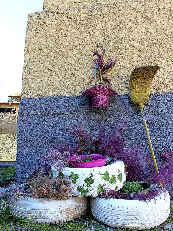 La Mia Casa Di Campagna Rovieto