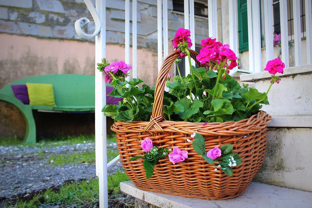 La Mia Casa Di Campagna Guest house Rovieto